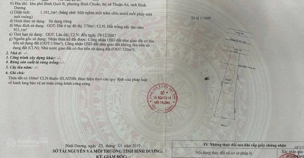 Bất động sản tại Bình Dương - ảnh 1