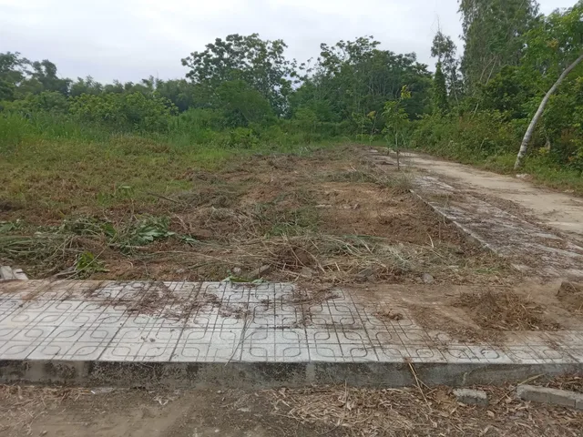 Bất động sản tại Đà Nẵng - ảnh 1