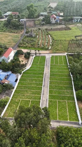 Bất động sản tại Phú Thọ - ảnh 1