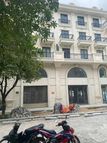 Bất động sản tại TP. Hồ Chí Minh - ảnh 1