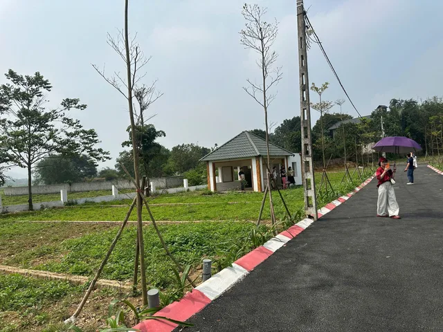 Bất động sản tại Hòa Bình - ảnh 1