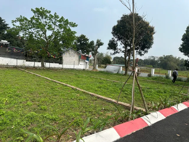 Bất động sản tại Phú Thọ - ảnh 1