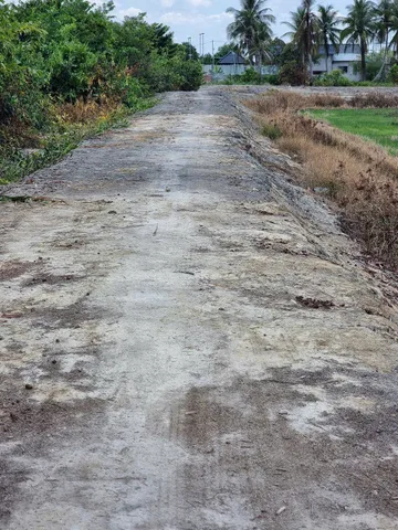 Bất động sản tại Long An - ảnh 1