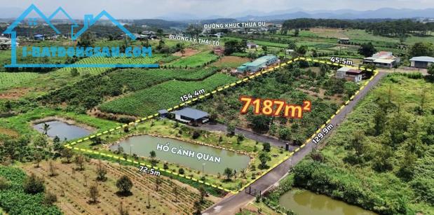 Bất động sản tại Lâm Đồng - ảnh 1