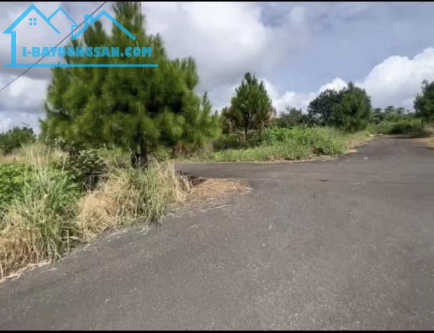 Bất động sản tại Lâm Đồng - ảnh 1