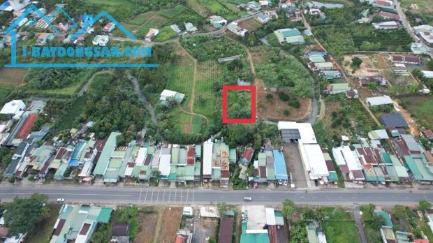 Bất động sản tại Lâm Đồng - ảnh 1