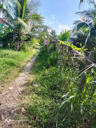 Bất động sản tại Bến Tre - ảnh 1