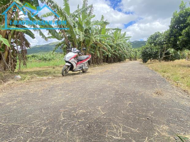 Bất động sản tại Lâm Đồng - ảnh 1