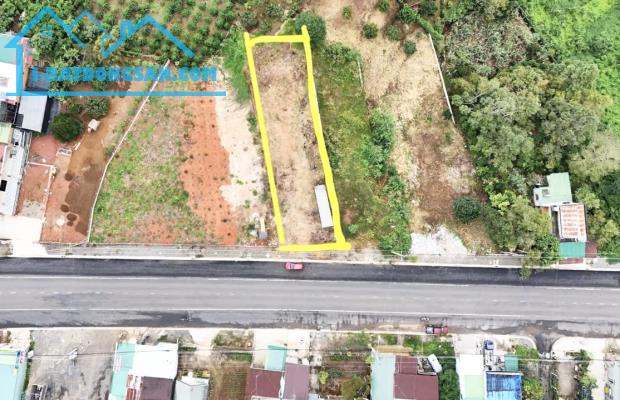 Bất động sản tại Lâm Đồng - ảnh 1