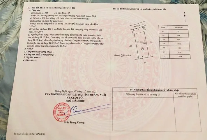Bất động sản tại Quảng Ngãi - ảnh 1