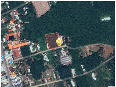Bất động sản tại Bình Dương - ảnh 1