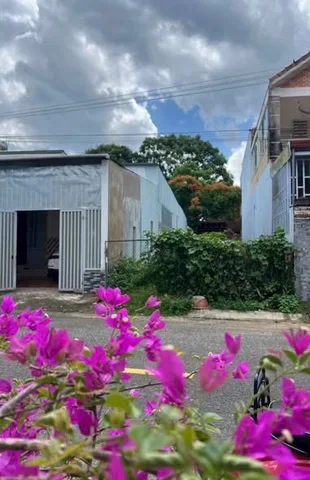 Bất động sản tại Lâm Đồng - ảnh 1
