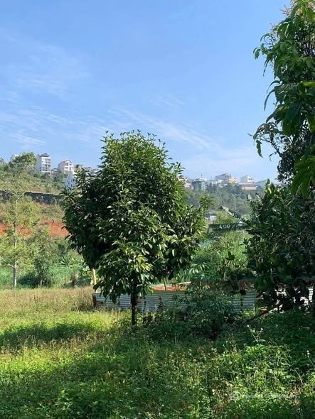 Bất động sản tại Lâm Đồng - ảnh 1