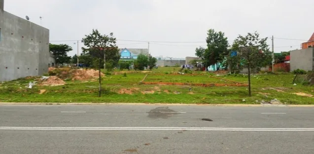 Bất động sản tại Bình Dương - ảnh 1