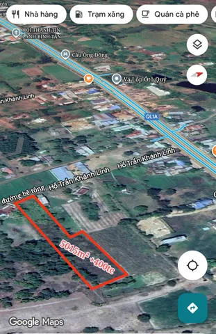 Bất động sản tại Lâm Đồng - ảnh 1