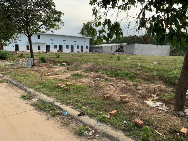 Bất động sản tại Bình Dương - ảnh 1