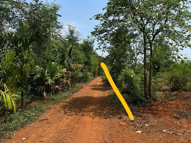 Bất động sản tại Đắk Lắk - ảnh 1