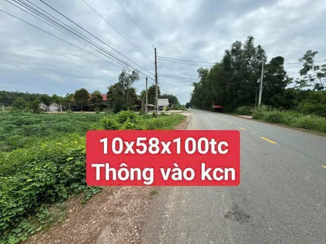 Bất động sản tại Bình Dương - ảnh 1