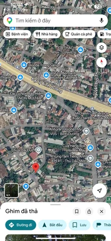Bất động sản tại Bình Dương - ảnh 1