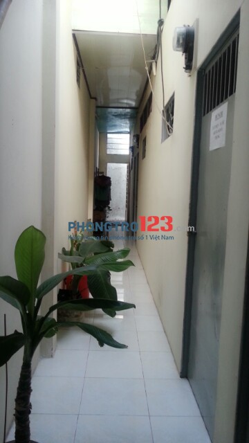 Bất động sản tại TP. Hồ Chí Minh - ảnh 1