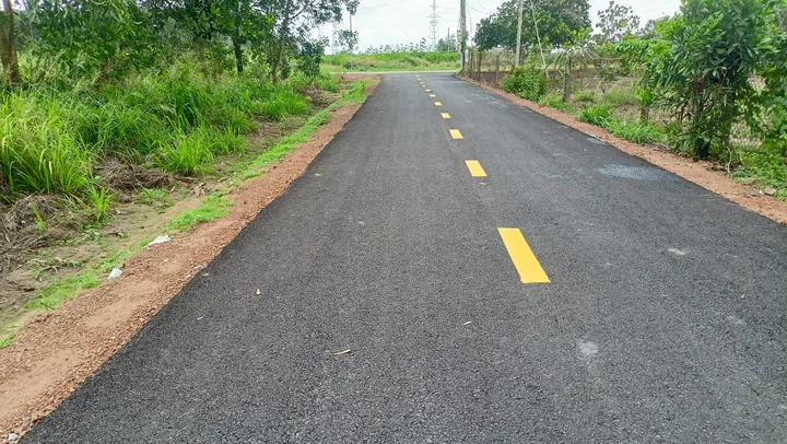 Bất động sản tại Bình Dương - ảnh 1