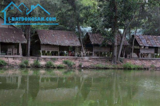 Bất động sản tại Bình Thuận - ảnh 1