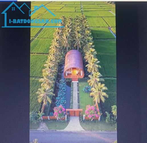 Bất động sản tại Đồng Tháp - ảnh 1