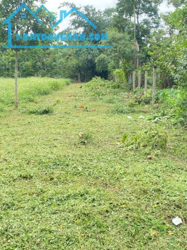 Bất động sản tại Đồng Tháp - ảnh 1
