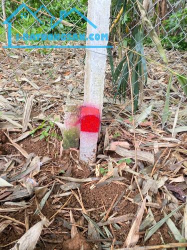 Bất động sản tại Đồng Tháp - ảnh 1