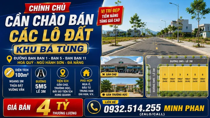 Bất động sản tại Đà Nẵng - ảnh 1