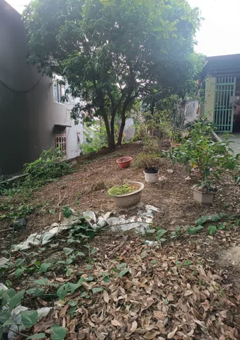 Bất động sản tại Thái Nguyên - ảnh 1