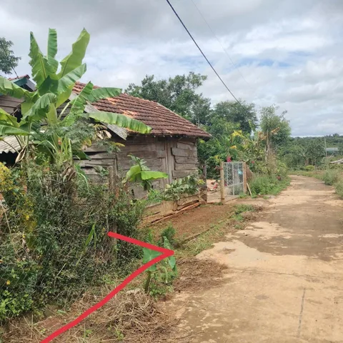 Bất động sản tại Đắk Lắk - ảnh 1