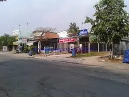 Bất động sản tại Bình Dương - ảnh 1