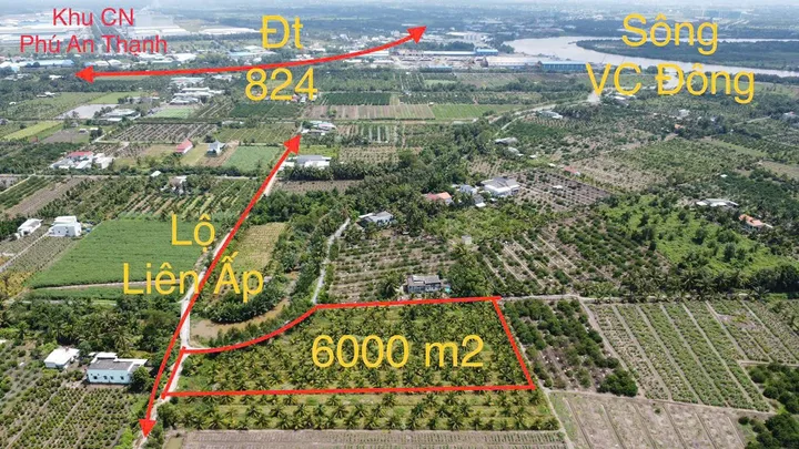 Bất động sản tại Long An - ảnh 1