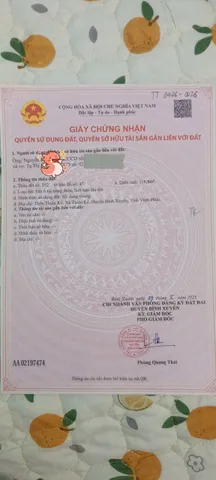 Bất động sản tại Phú Thọ - ảnh 1