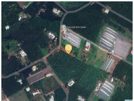 Bất động sản tại Bình Dương - ảnh 1