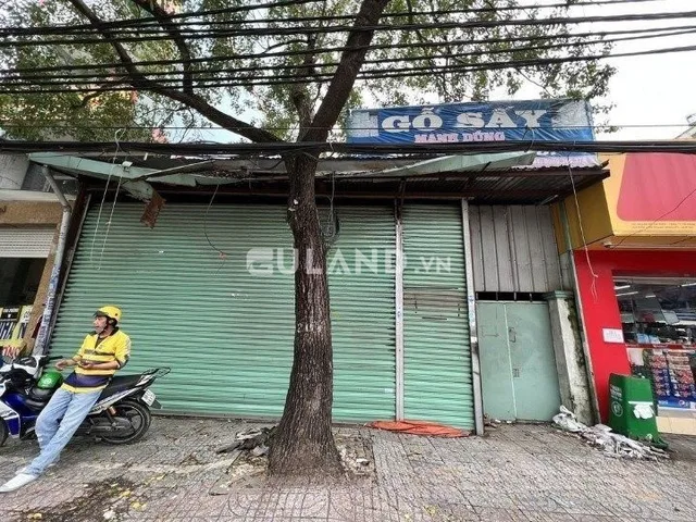 Bất động sản tại TP. Hồ Chí Minh - ảnh 1