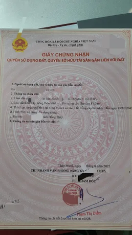 Bất động sản tại Đồng Tháp - ảnh 1