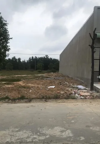 Bất động sản tại Bình Dương - ảnh 1