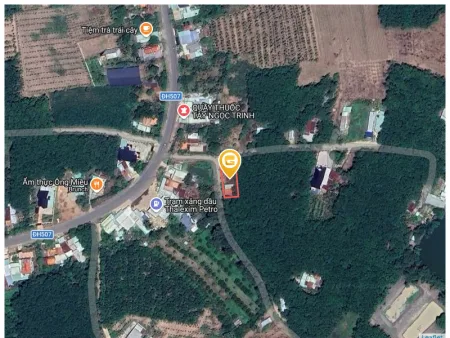 Bất động sản tại Bình Dương - ảnh 1