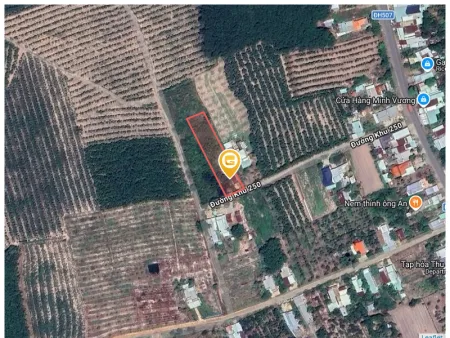 Bất động sản tại Bình Dương - ảnh 1