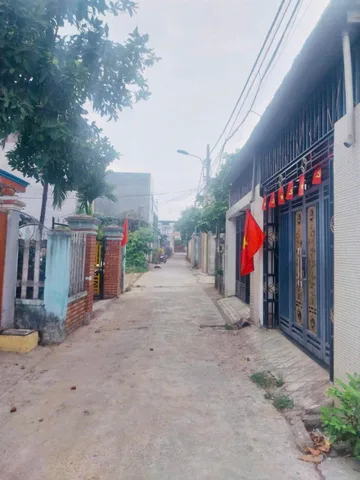 Bất động sản tại Đà Nẵng - ảnh 1