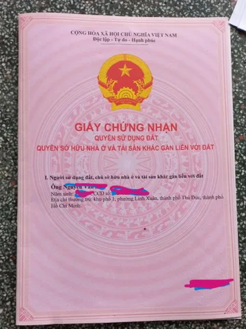 Bất động sản tại Bình Dương - ảnh 1