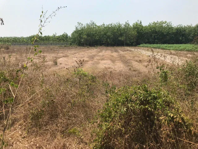 Bất động sản tại Tây Ninh - ảnh 1