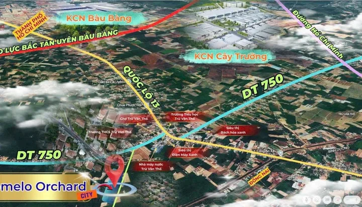 Bất động sản tại Bình Dương - ảnh 1