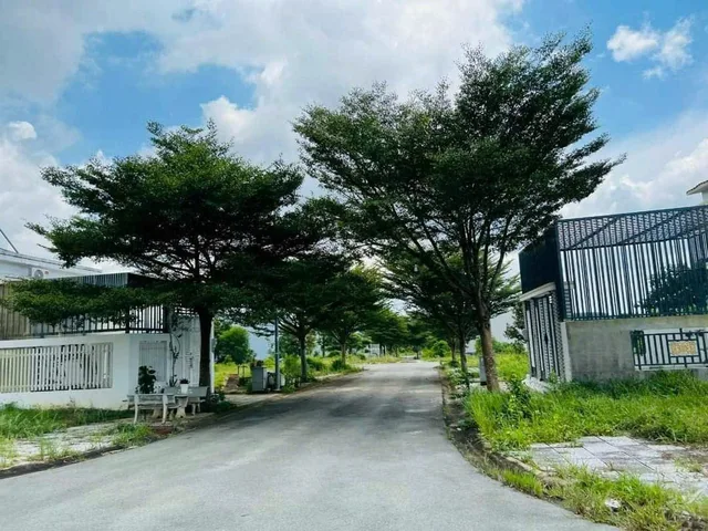 Bất động sản tại Đồng Nai - ảnh 1