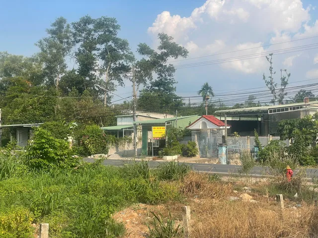 Bất động sản tại Bình Dương - ảnh 1