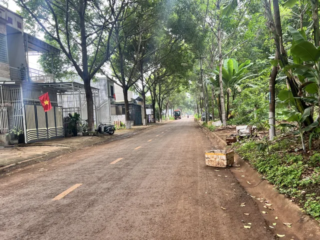 Bất động sản tại Đắk Lắk - ảnh 1