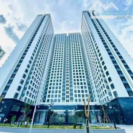 Bất động sản tại Bình Định - ảnh 1