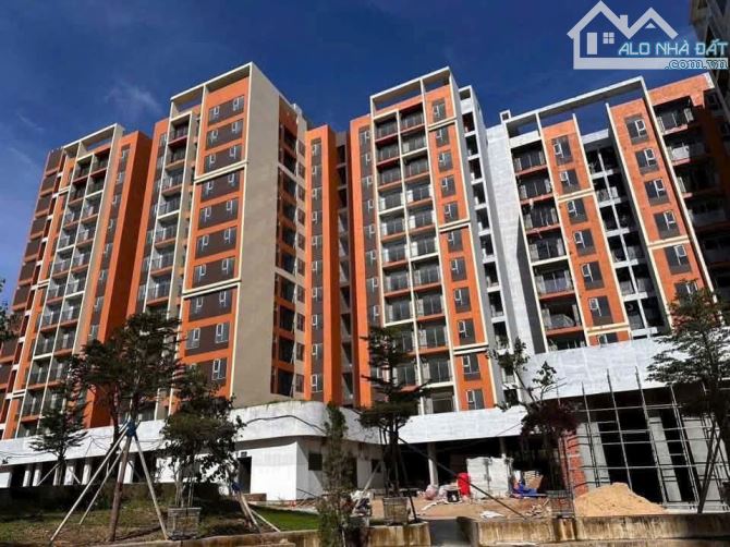 Bất động sản tại Bình Định - ảnh 1